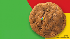 在最新的chrome浏览器中如何查看cookie的值？